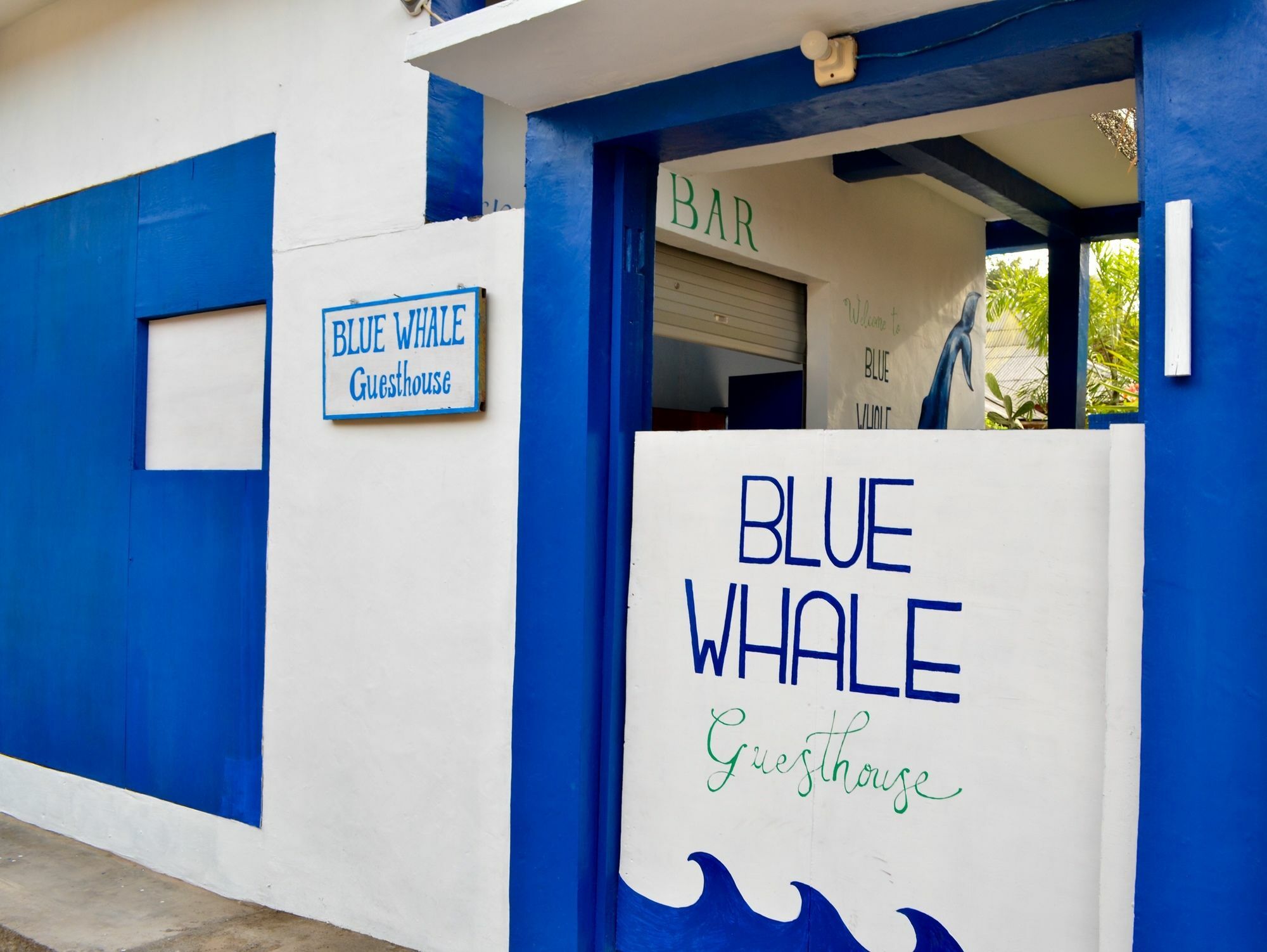 גילי טרוונגן Blue Whale Guesthouse מראה חיצוני תמונה